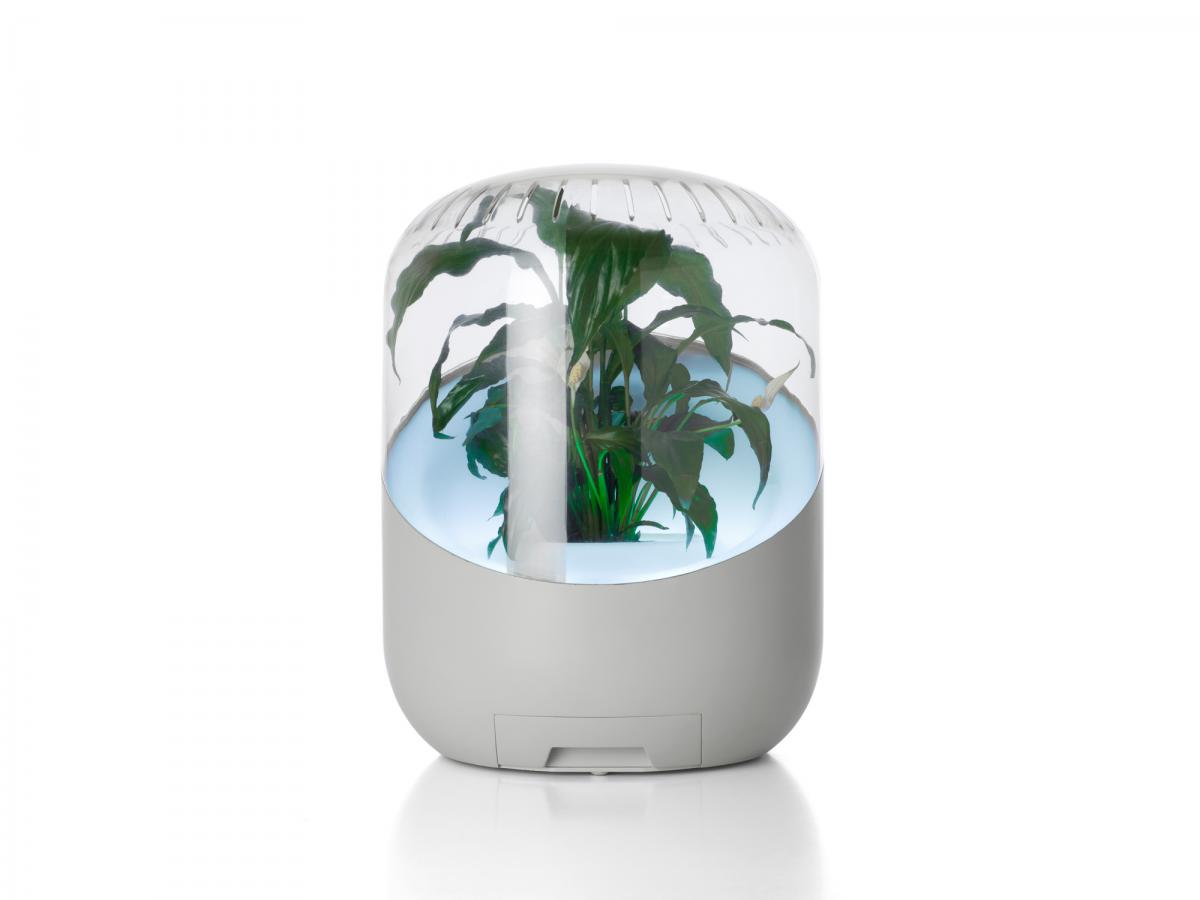 Andrea air purifier discount