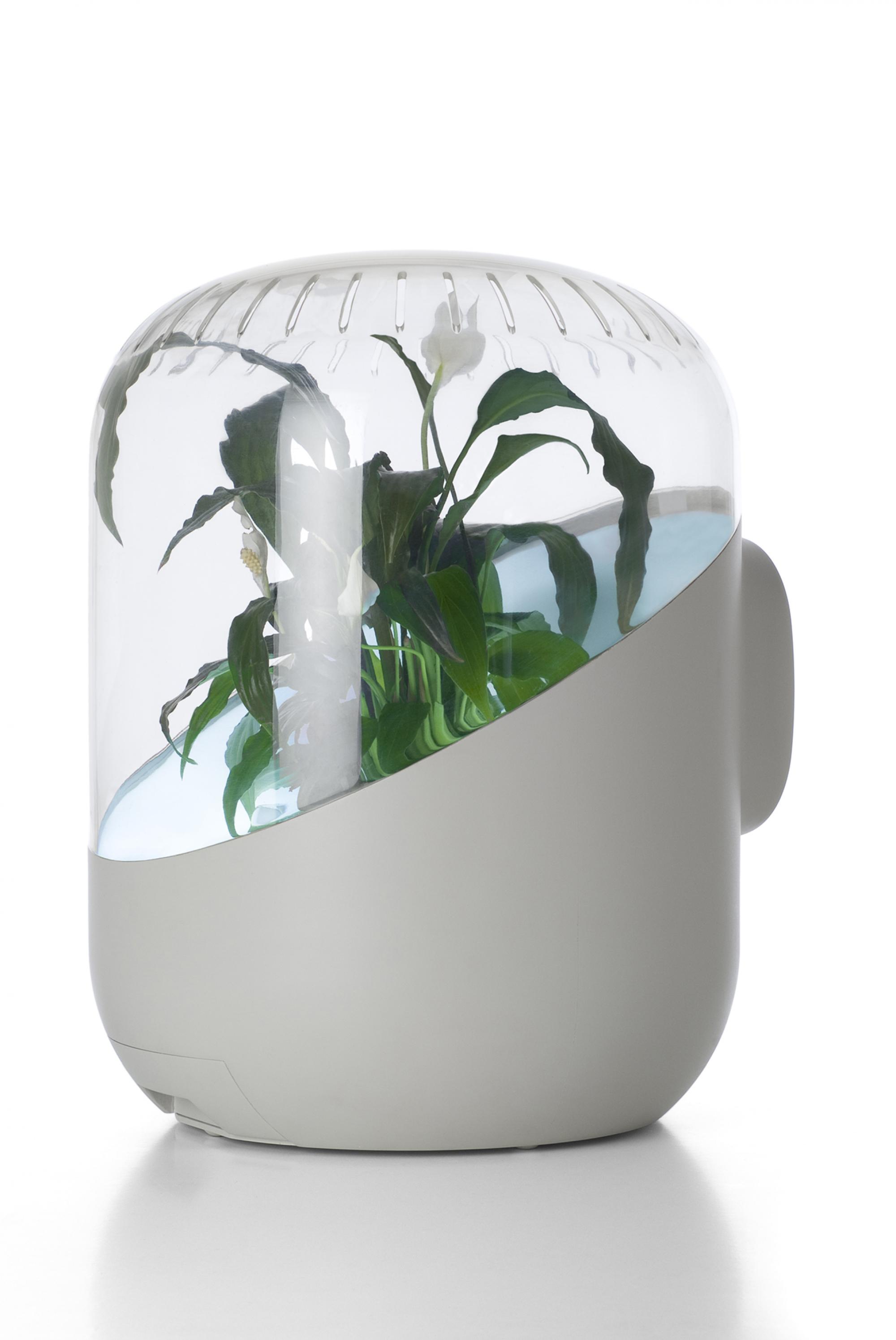 Andrea air purifier deals